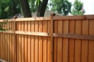 cedar.webp